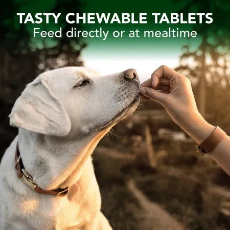 Advanced Hip & Joint Soft Chews