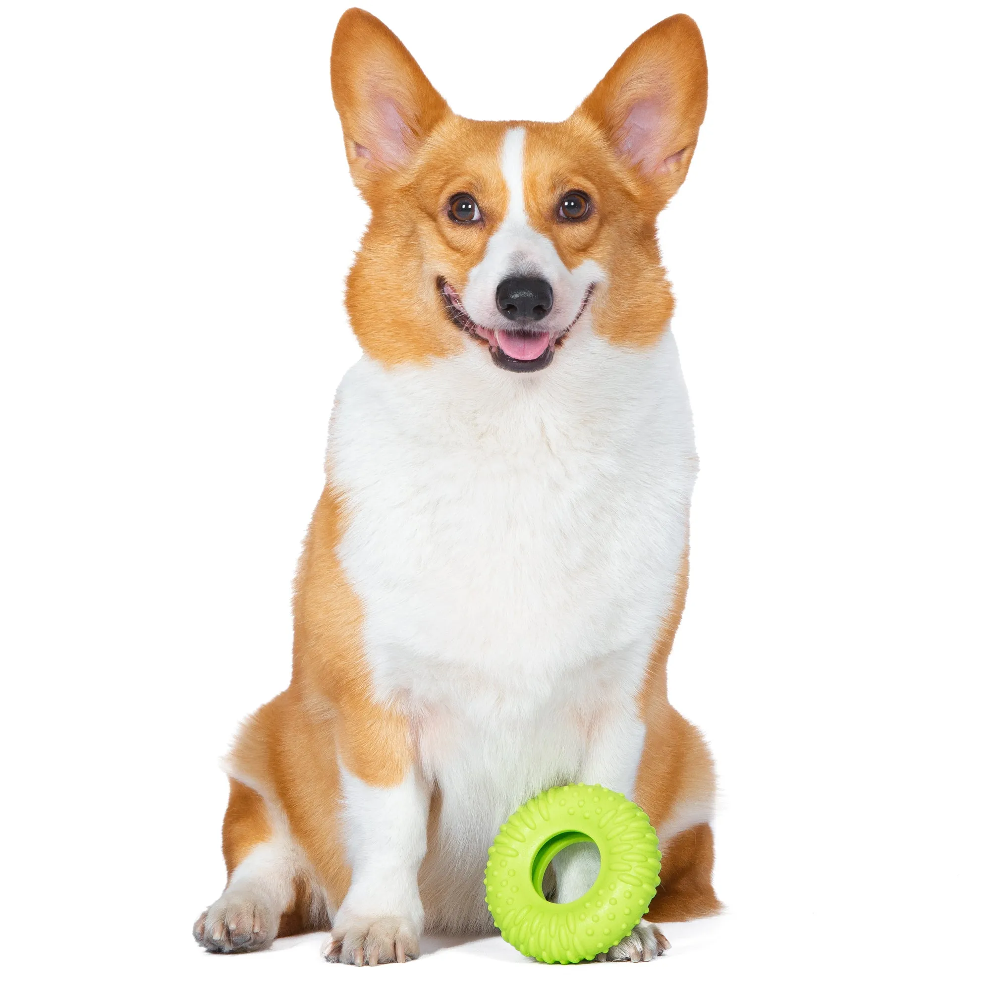 Arm & Hammer: Scrubbies Puppy Chew Ring Dental Chew Toy