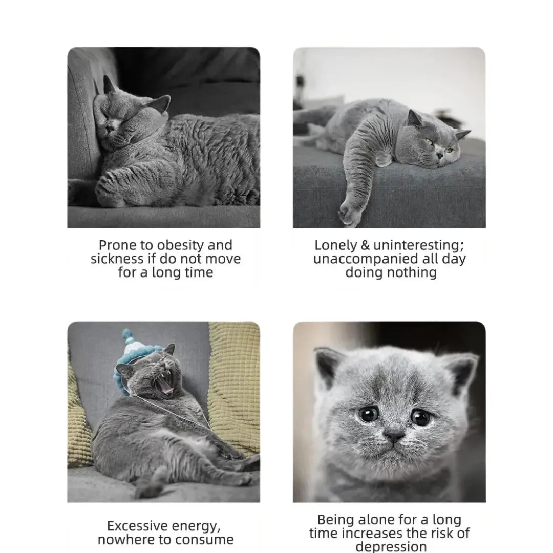 Automatic Interactive LED Laser Cat Toy