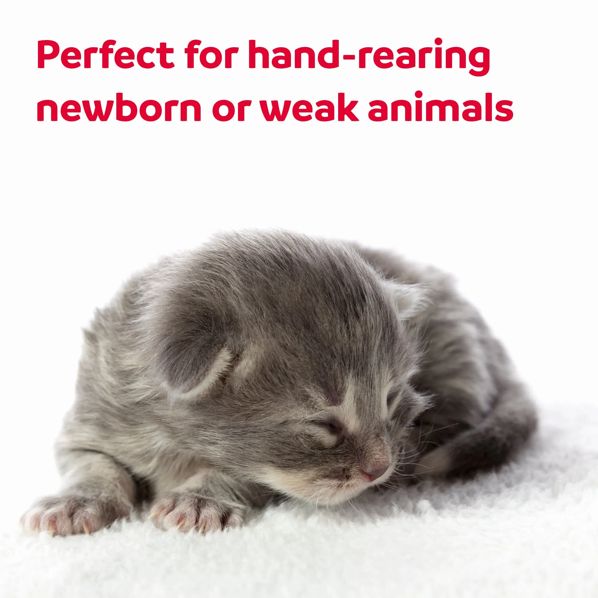 Beaphar | Puppy Care | Lactol Feeding Syringes
