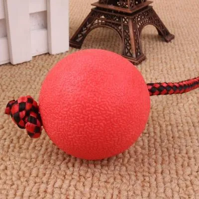 Bite Resistant Rubber Ball With Elastic Rope Dog Chew Toy