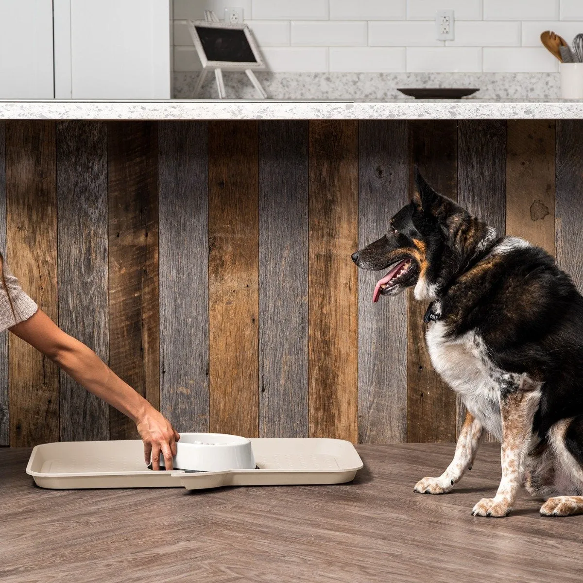 Feeding Mat "Woof"- Large