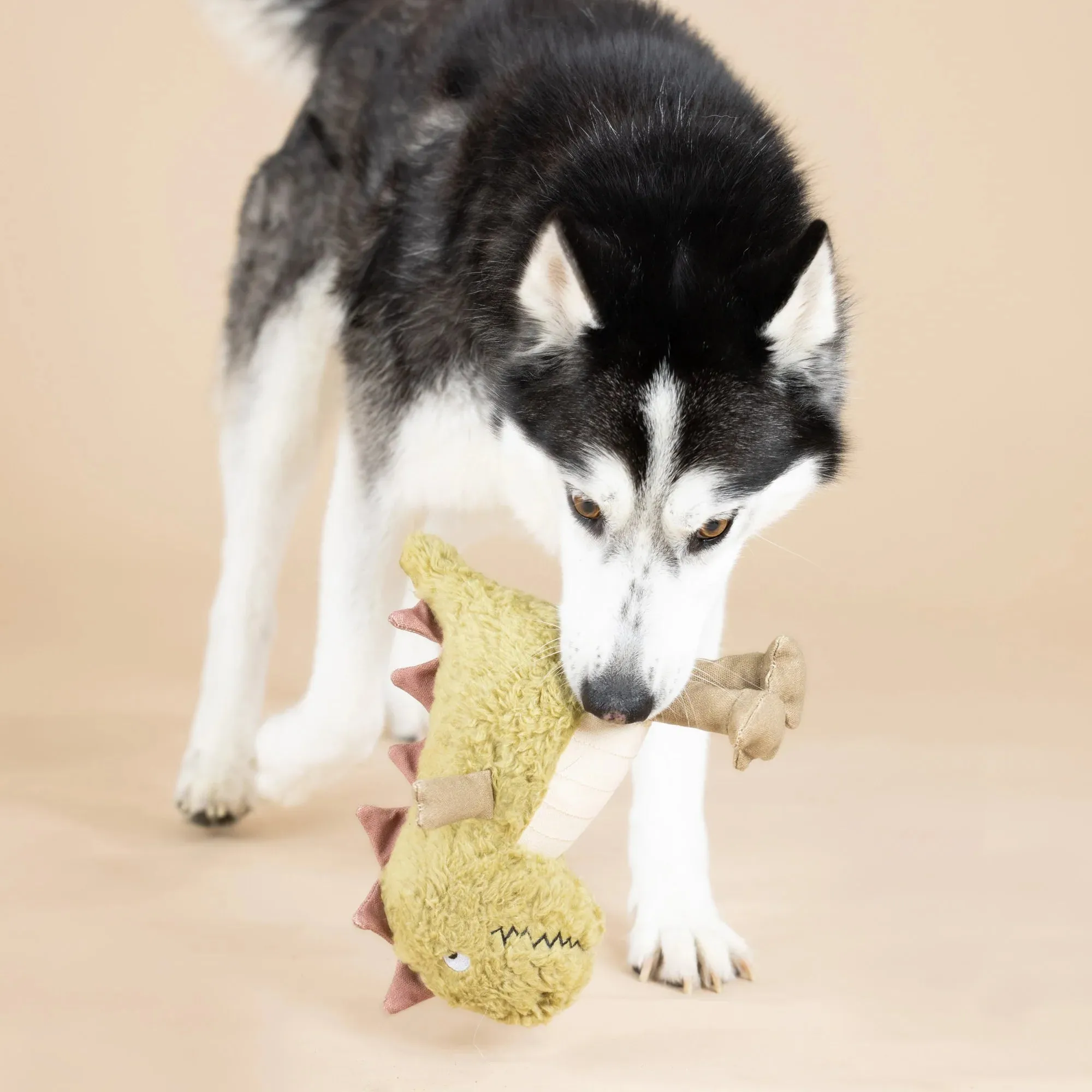 Fringe Dog Toy Earth Small Arms Big Heart