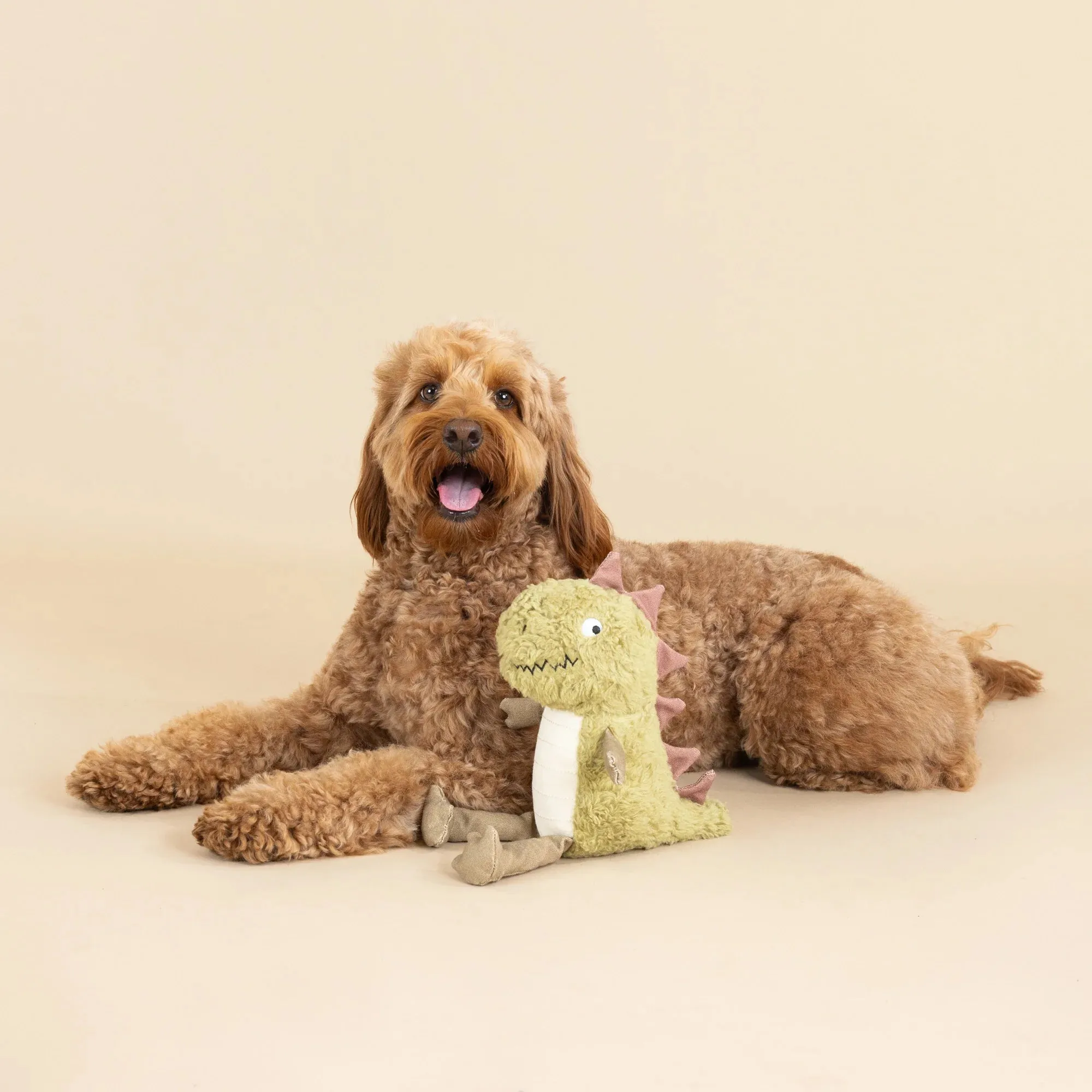 Fringe Dog Toy Earth Small Arms Big Heart