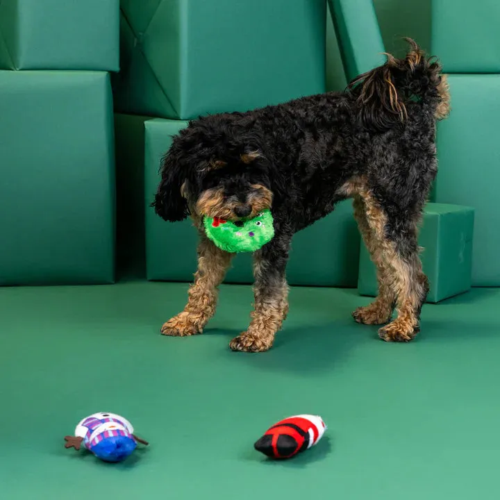 Fringe Dog Toy Holiday We Have Great Chemis-Tree
