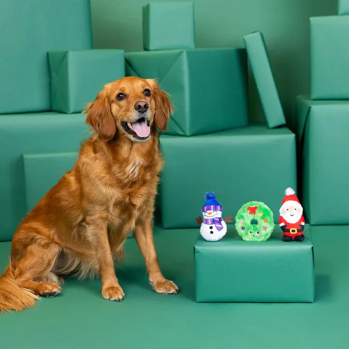 Fringe Dog Toy Holiday We Have Great Chemis-Tree
