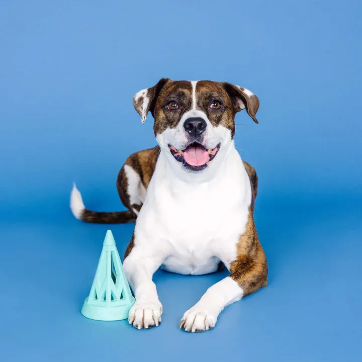 Fringe Dog Toy Rubber You Cone Do It