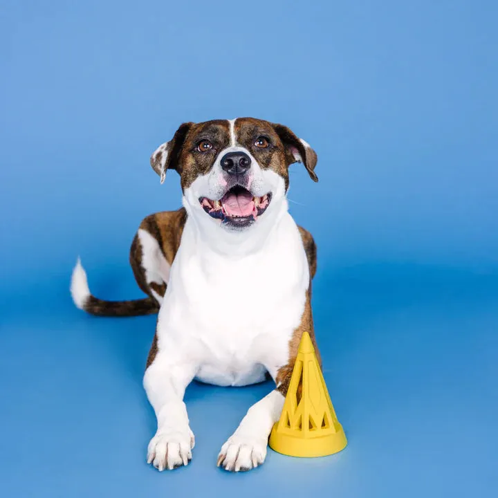 Fringe Dog Toy Rubber You Cone Do It