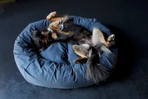 Grey Dog Bed