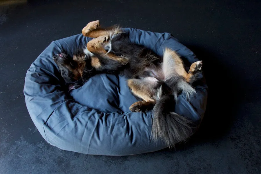 Grey Dog Bed