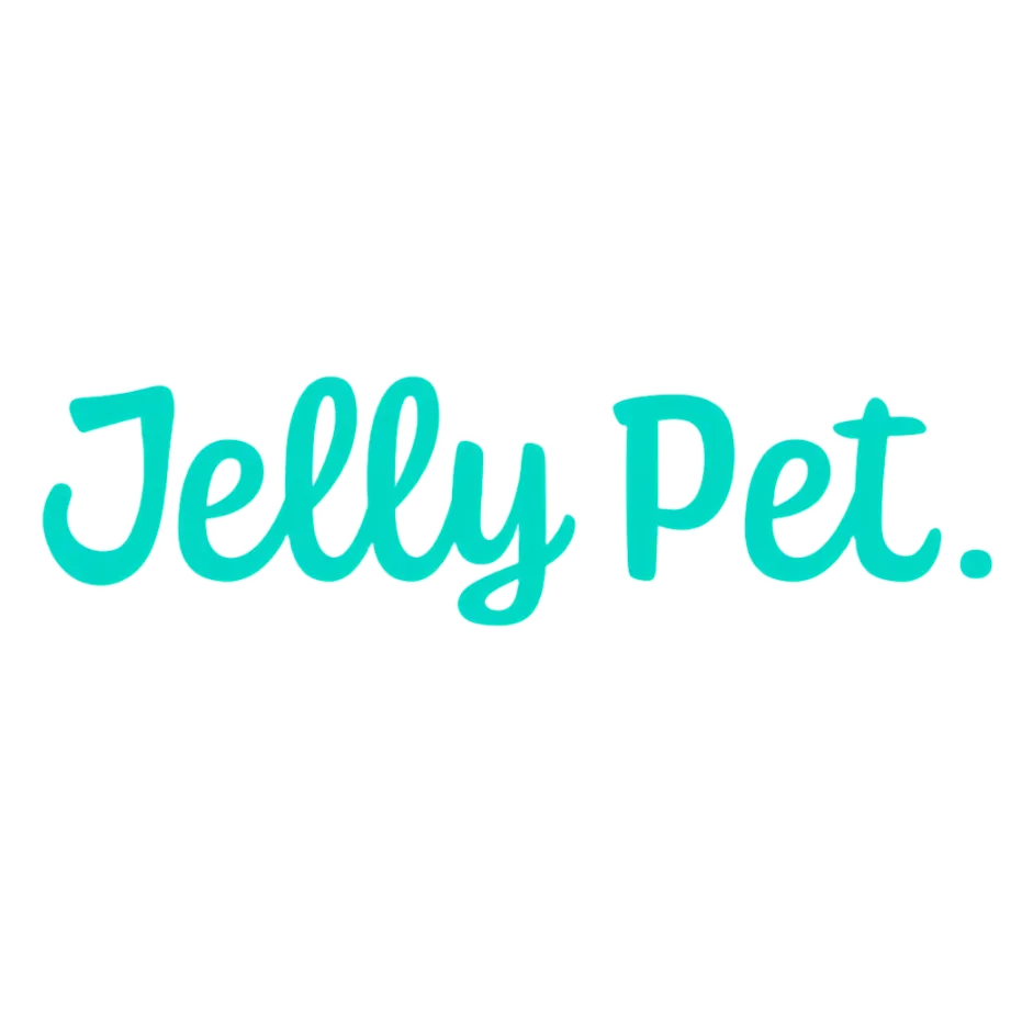 Grooming Loop 3/8"x18" With Ring Lime Green by Jelly Pet
