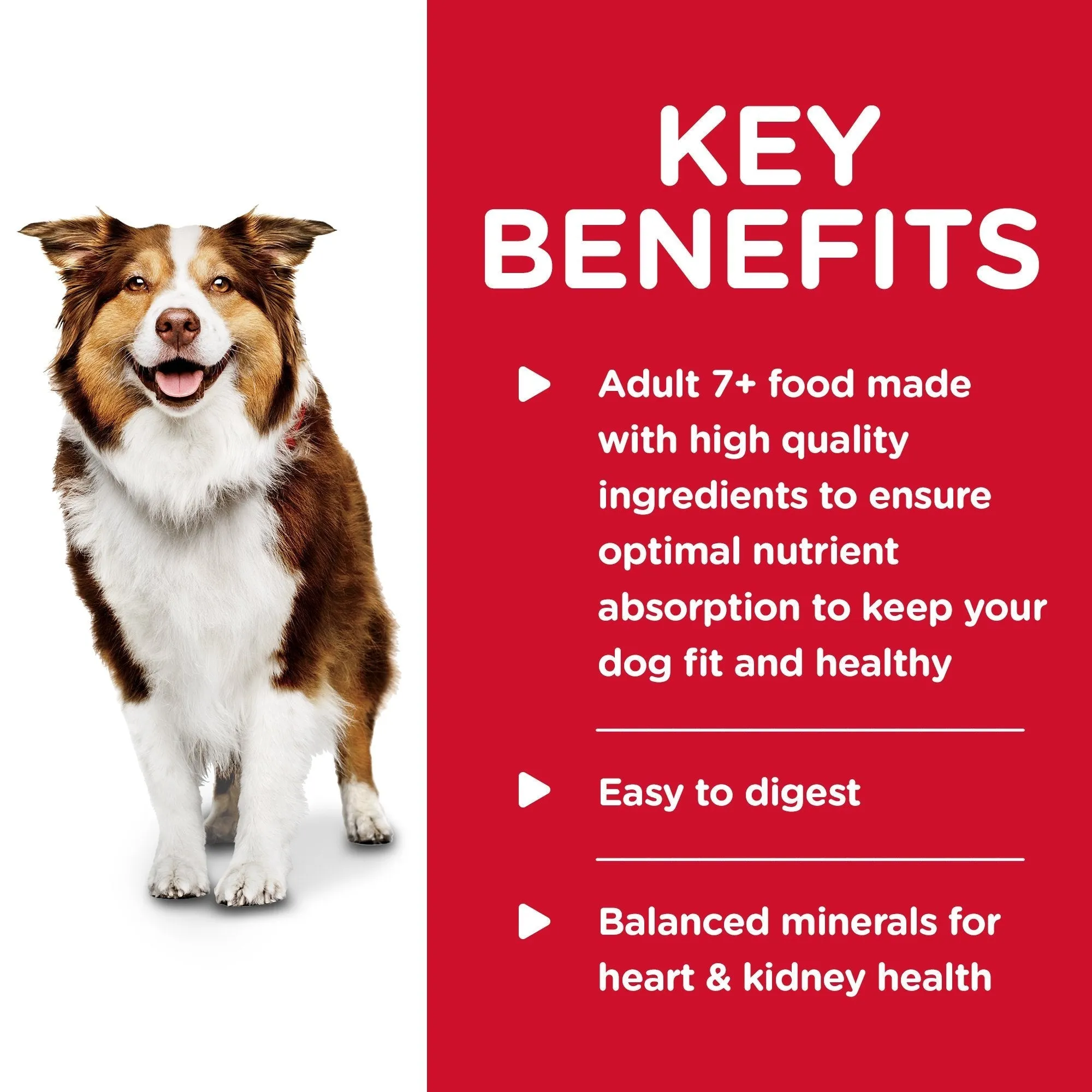 Hills Science Diet Adult 7  Savoury Stew Beef and Vegetables Canned Dog Food 363g^^^