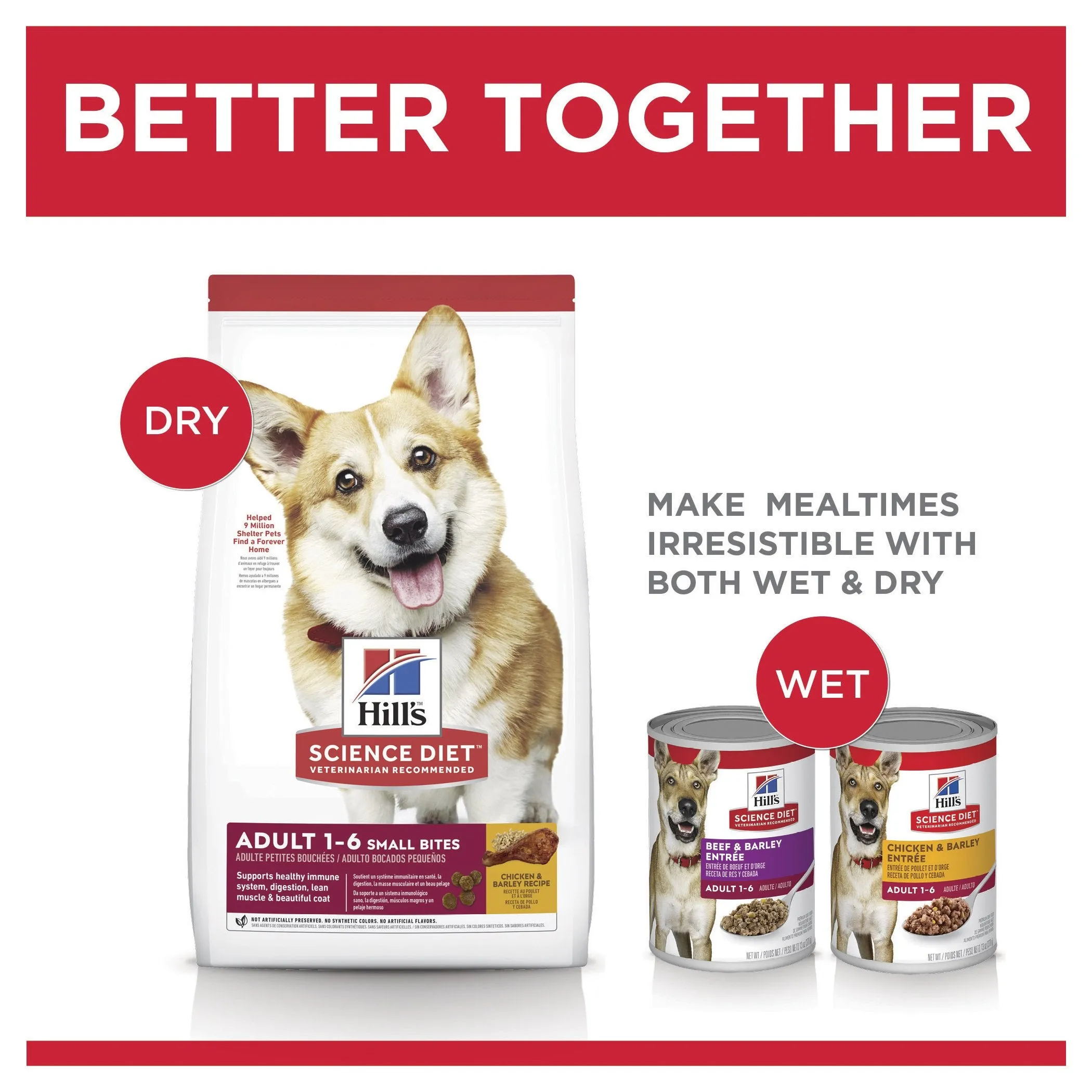 Hills Science Diet Adult Small Bites Dry Dog Food 2kg^^^