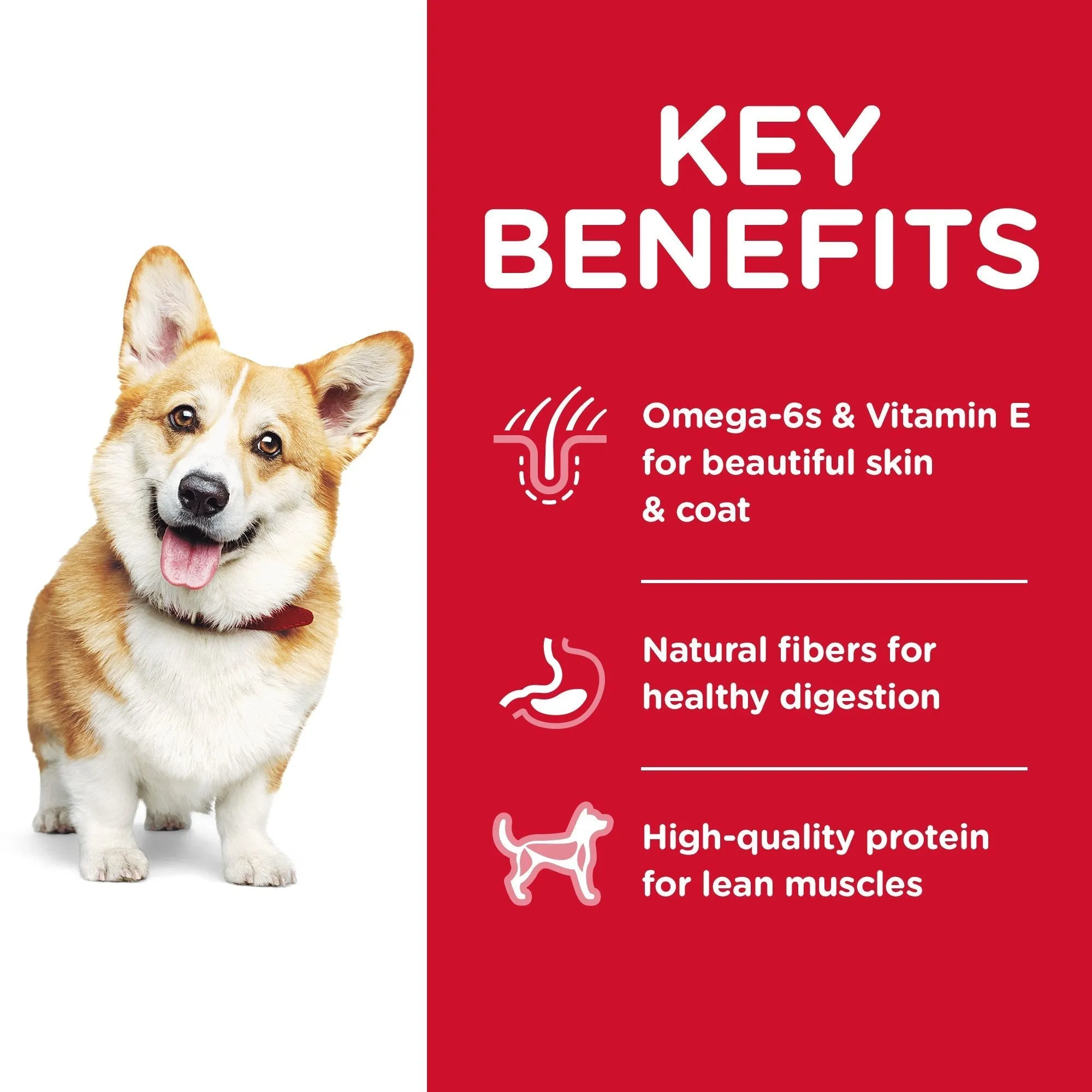 Hills Science Diet Adult Small Bites Dry Dog Food 2kg^^^