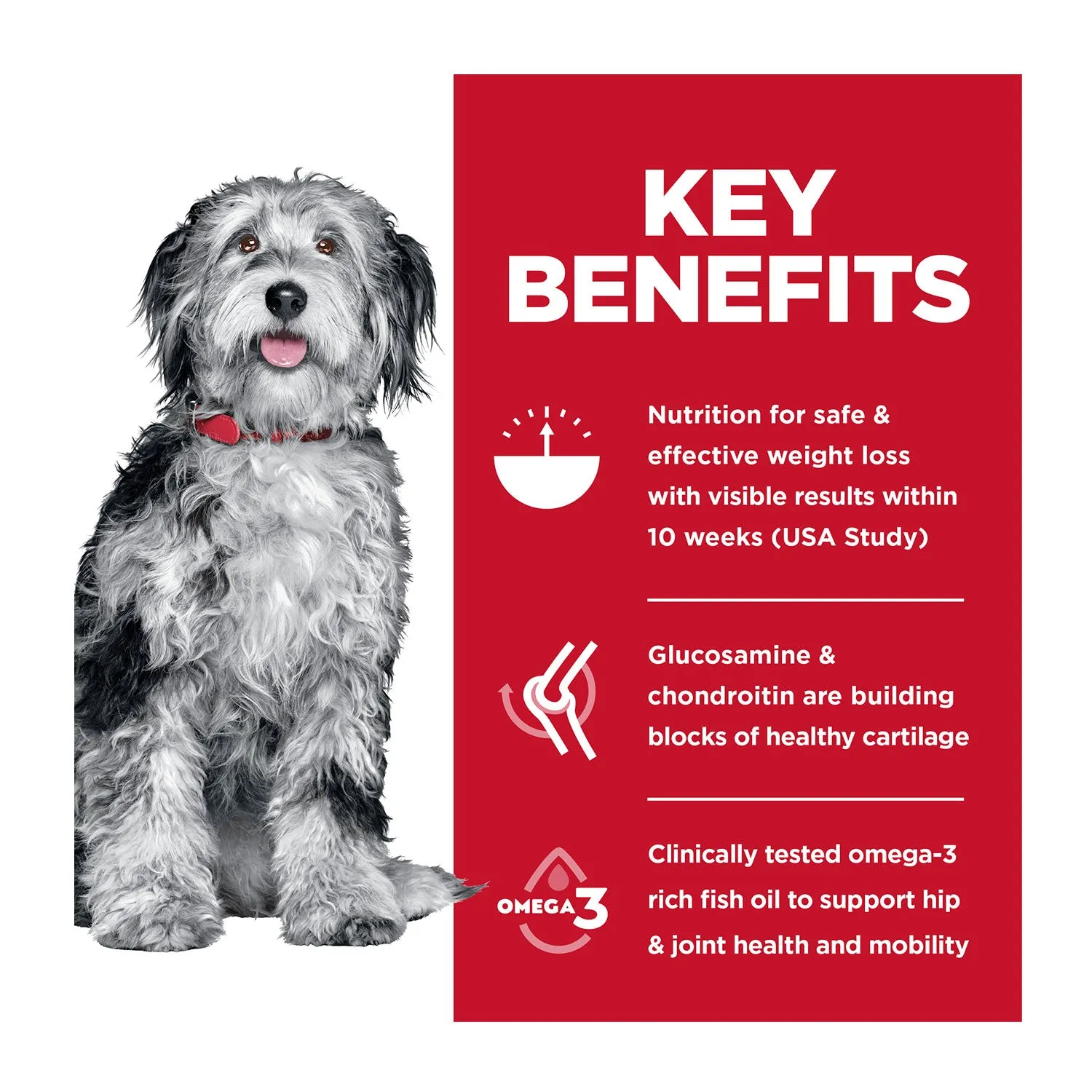 Hills Science Diet Perfect Weight & Joint Support Adult Dry Dog Food 11.3kg