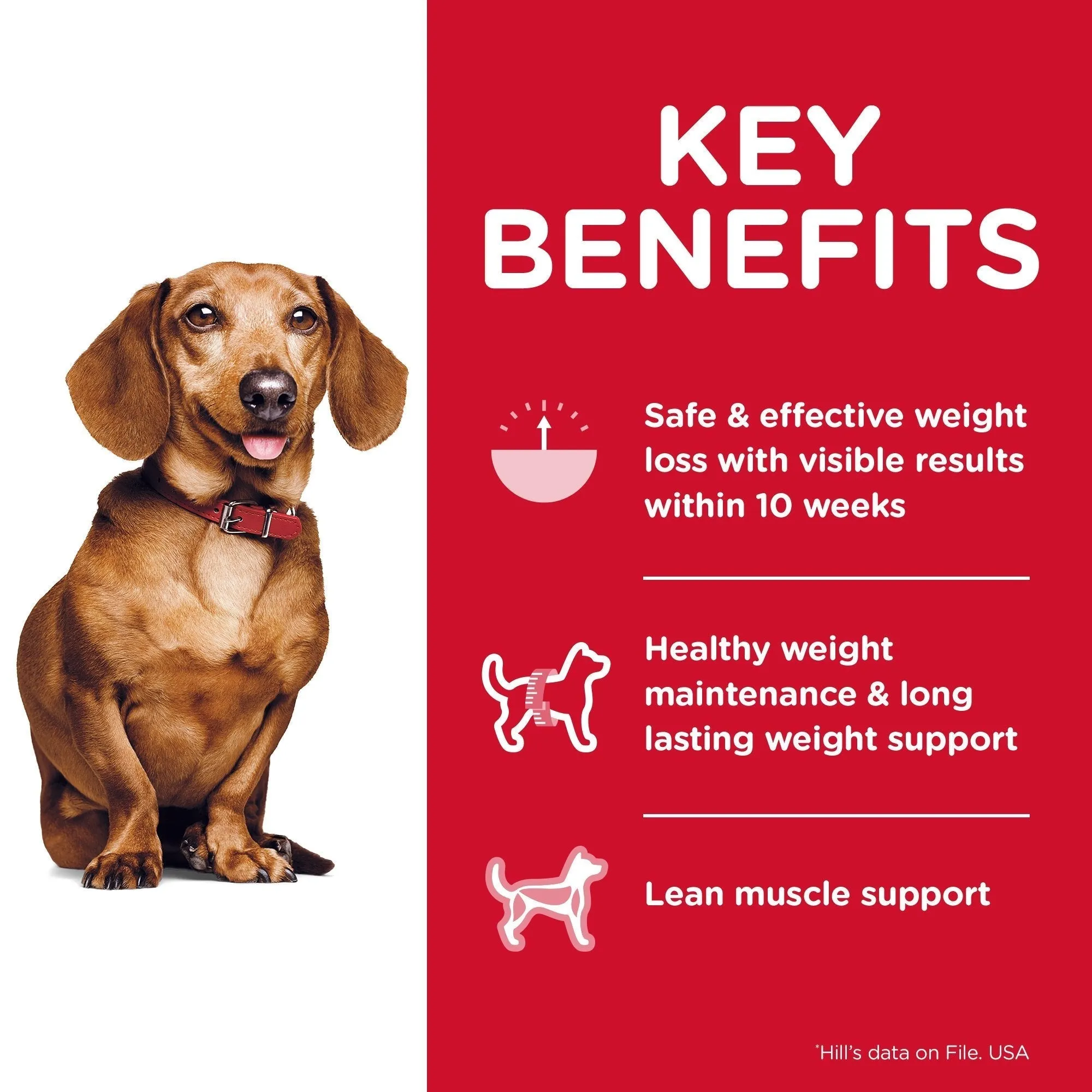 Hills Science Diet Perfect Weight Small and Mini Adult Dry Dog Food 1.8kg^^^