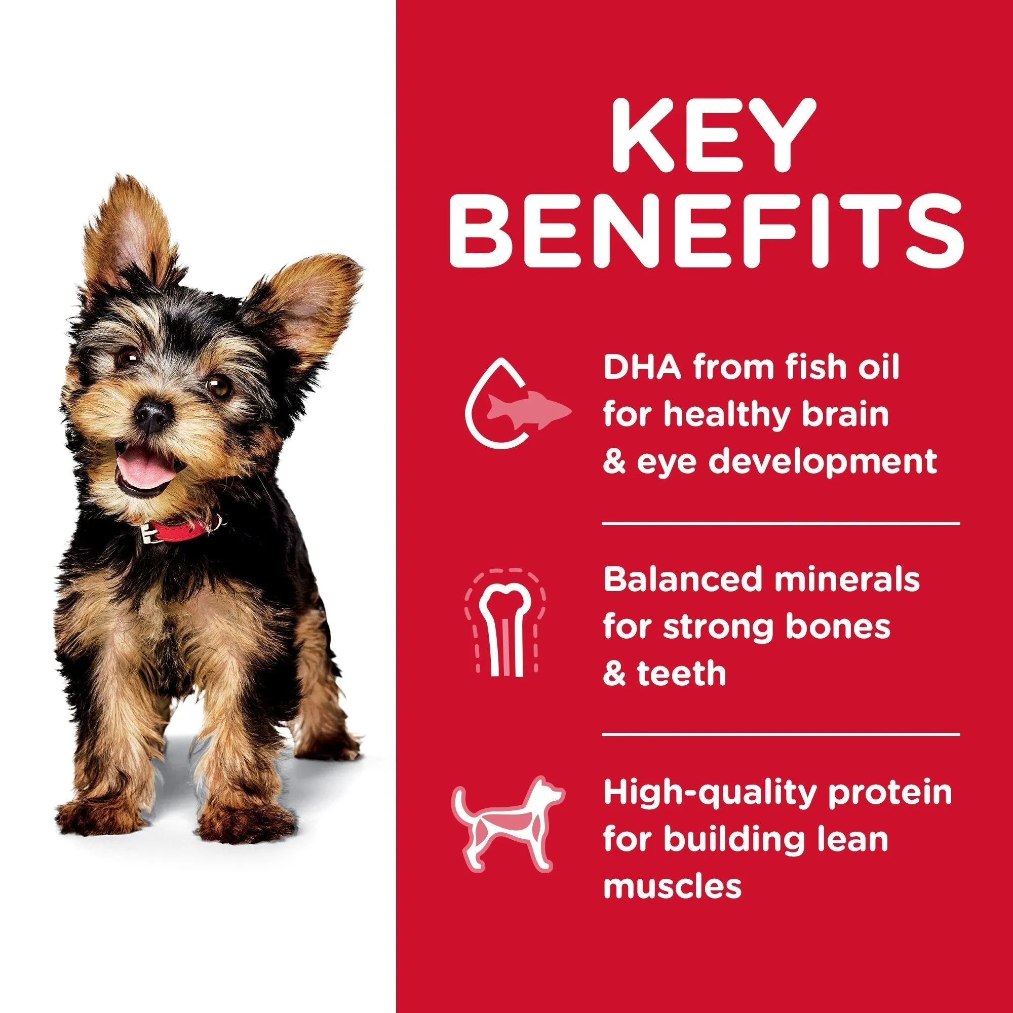 Hills Science Diet Puppy Small Paws Dry Dog Food 1.5kg^^^