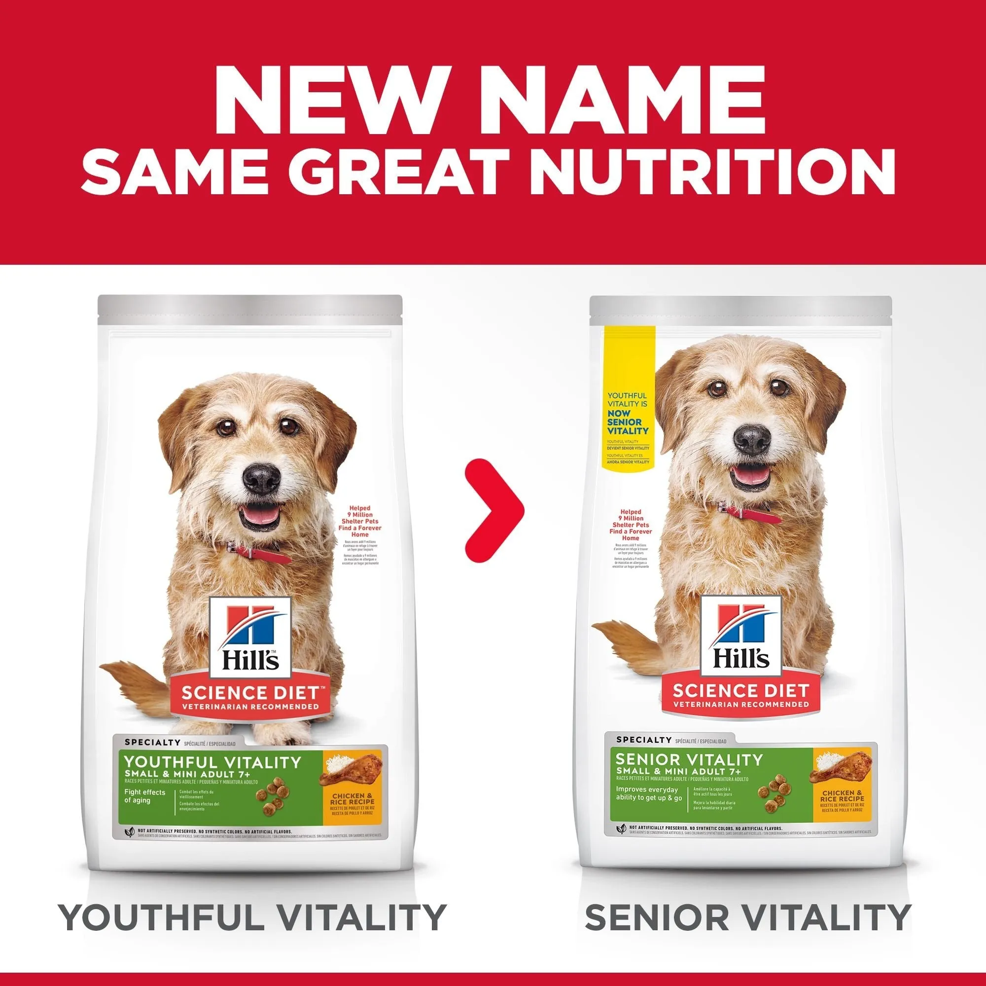 Hills Science Diet Senior Vitality Small and Mini Adult 7  Dry Dog Food 1.58kg^^^