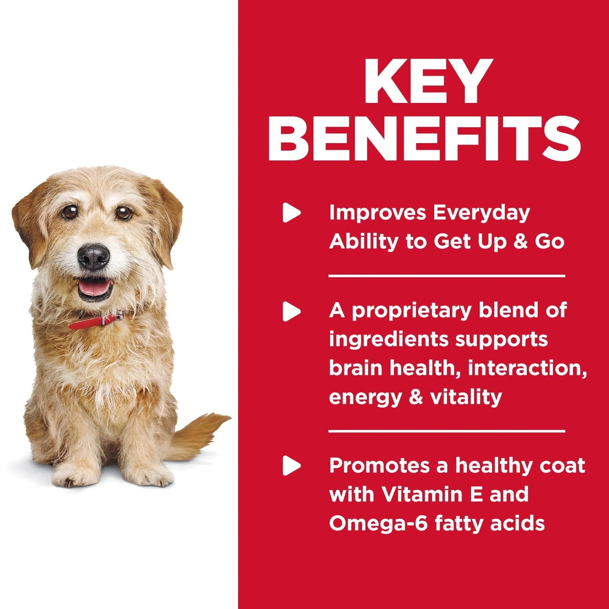 Hills Science Diet Senior Vitality Small and Mini Adult 7  Dry Dog Food 1.58kg^^^