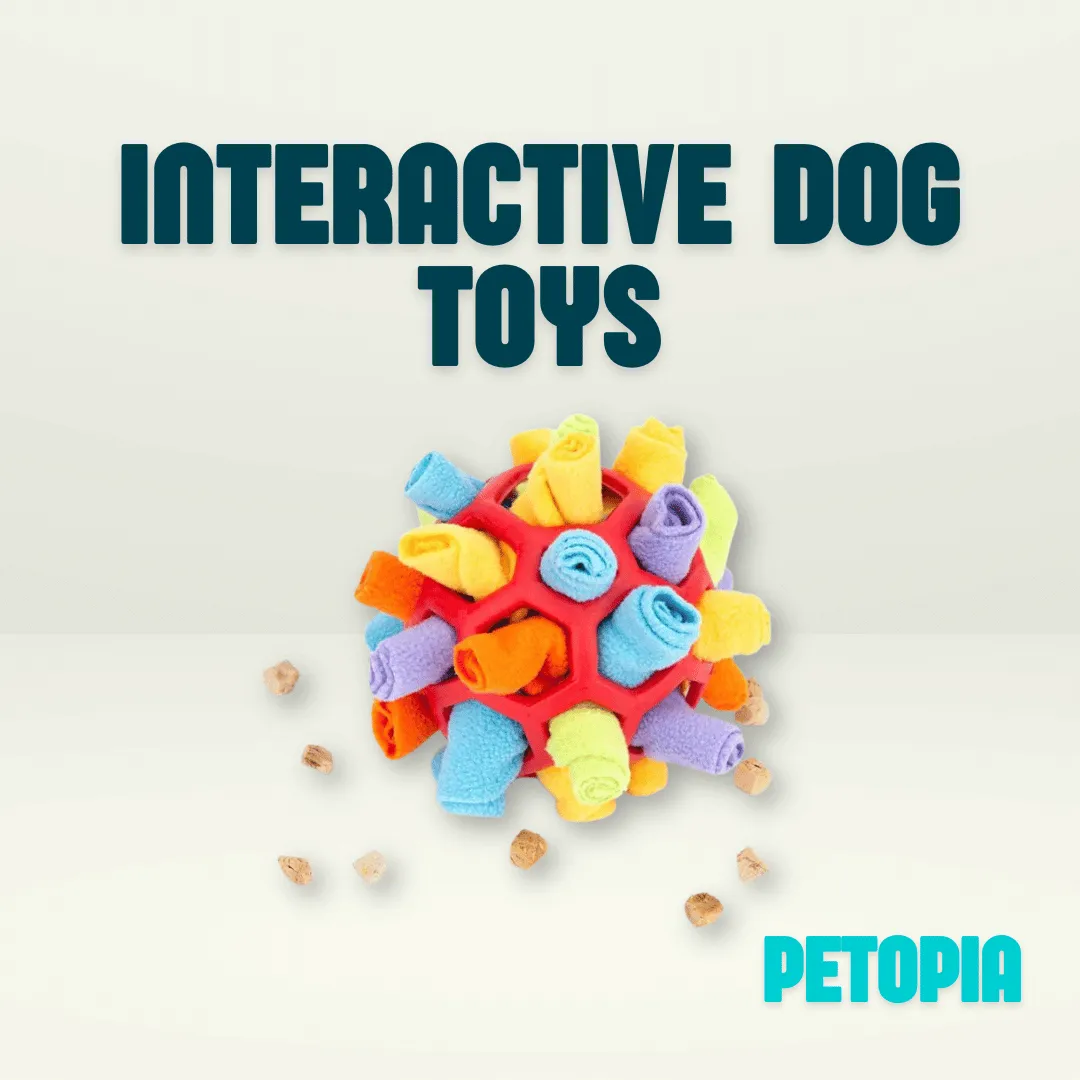 Interactive Dog Toys