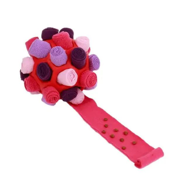 Interactive Dog Toys