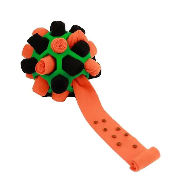 Interactive Dog Toys
