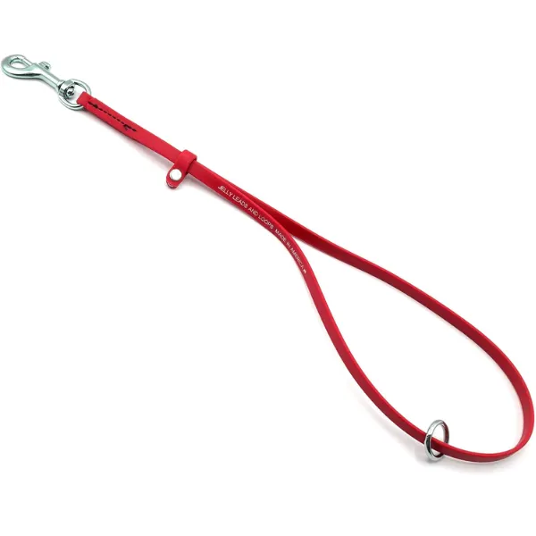 Jelly Pet Grooming Loop with Ring 3/8" x 24" [9 colours] ...