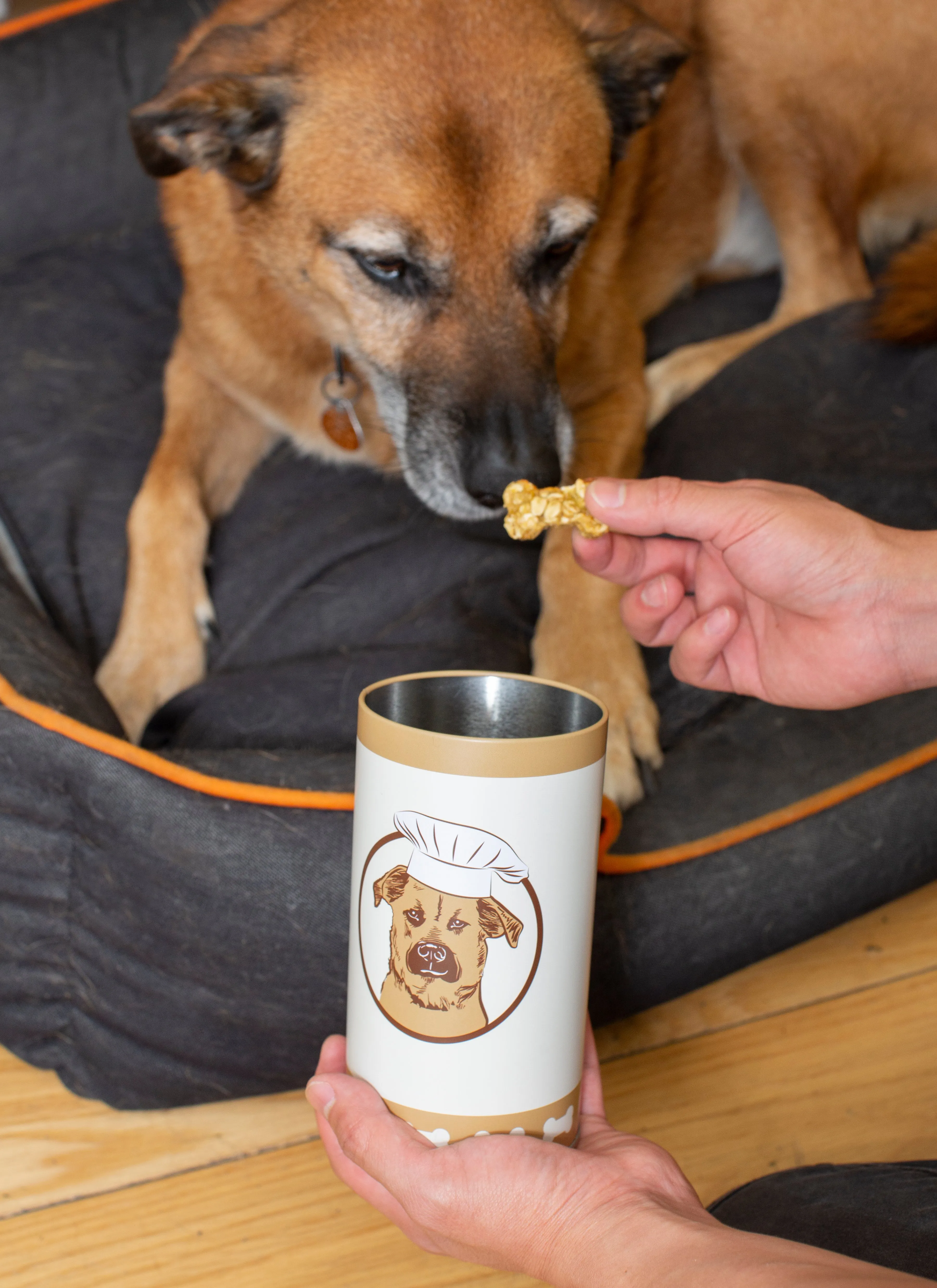 Kobe Make Your Own Dog Treats