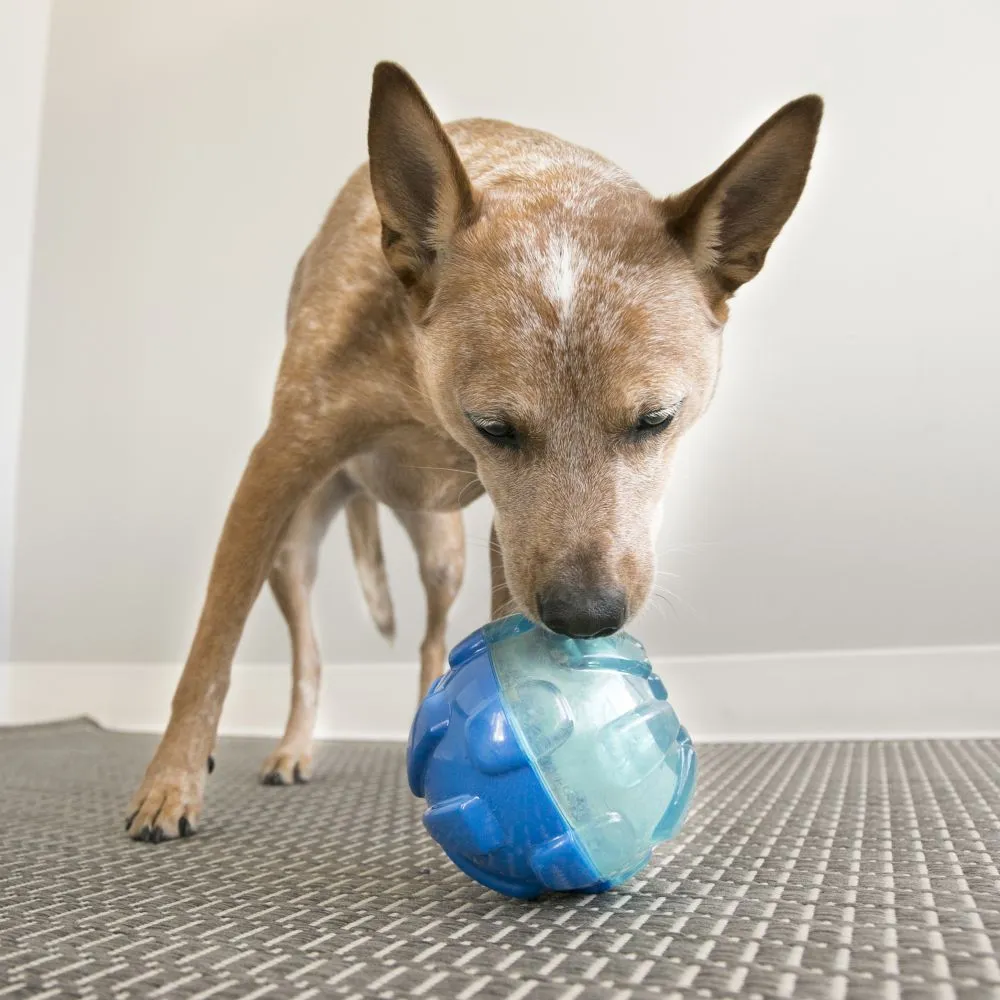 Kong - Reward Ball