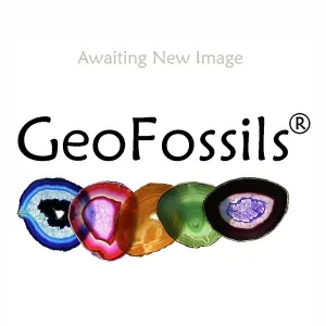 Mineral - Herkimer Diamonds 6-8mm (10)