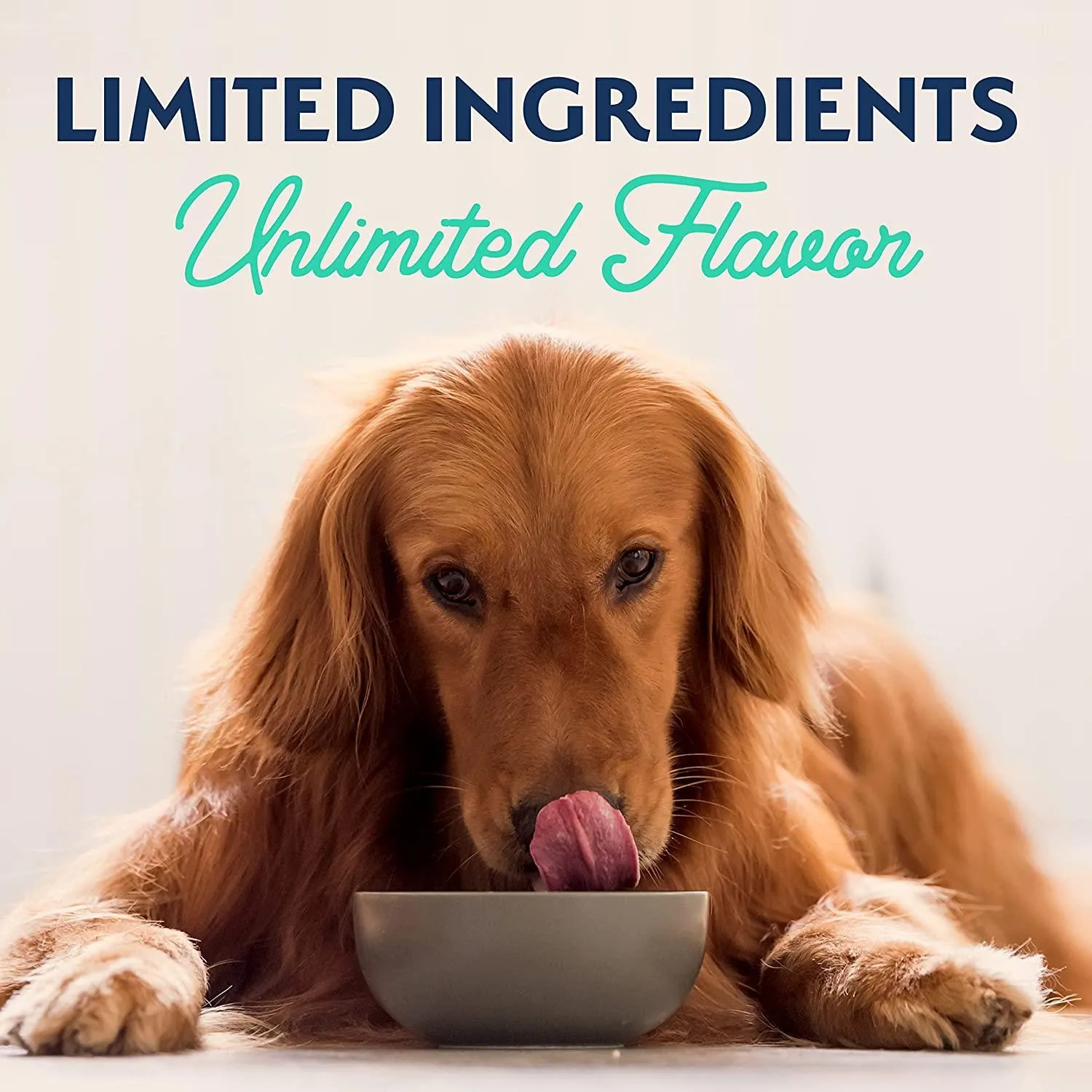 Natural Balance Canned Dog Food Chicken & Sweet Potato