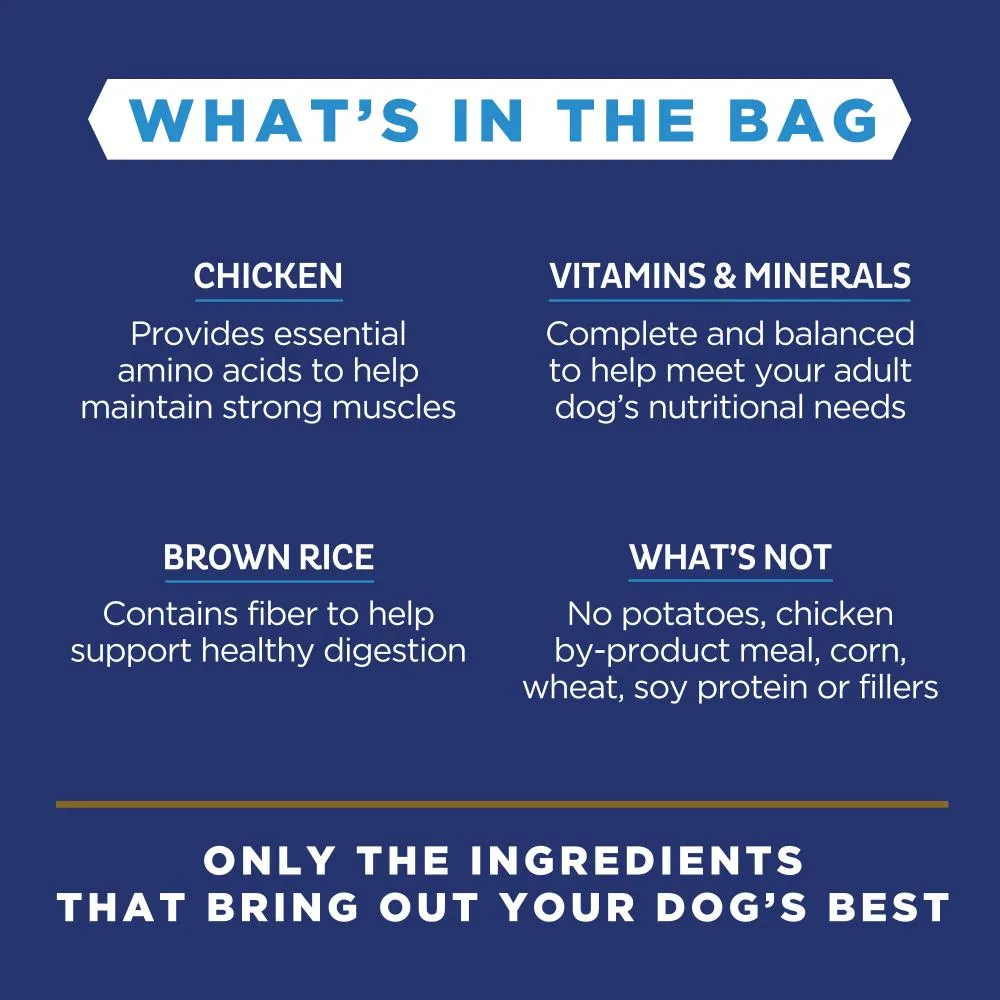 Natural Balance Limited Ingredient Chicken & Brown Rice Recipe Dry Dog Food