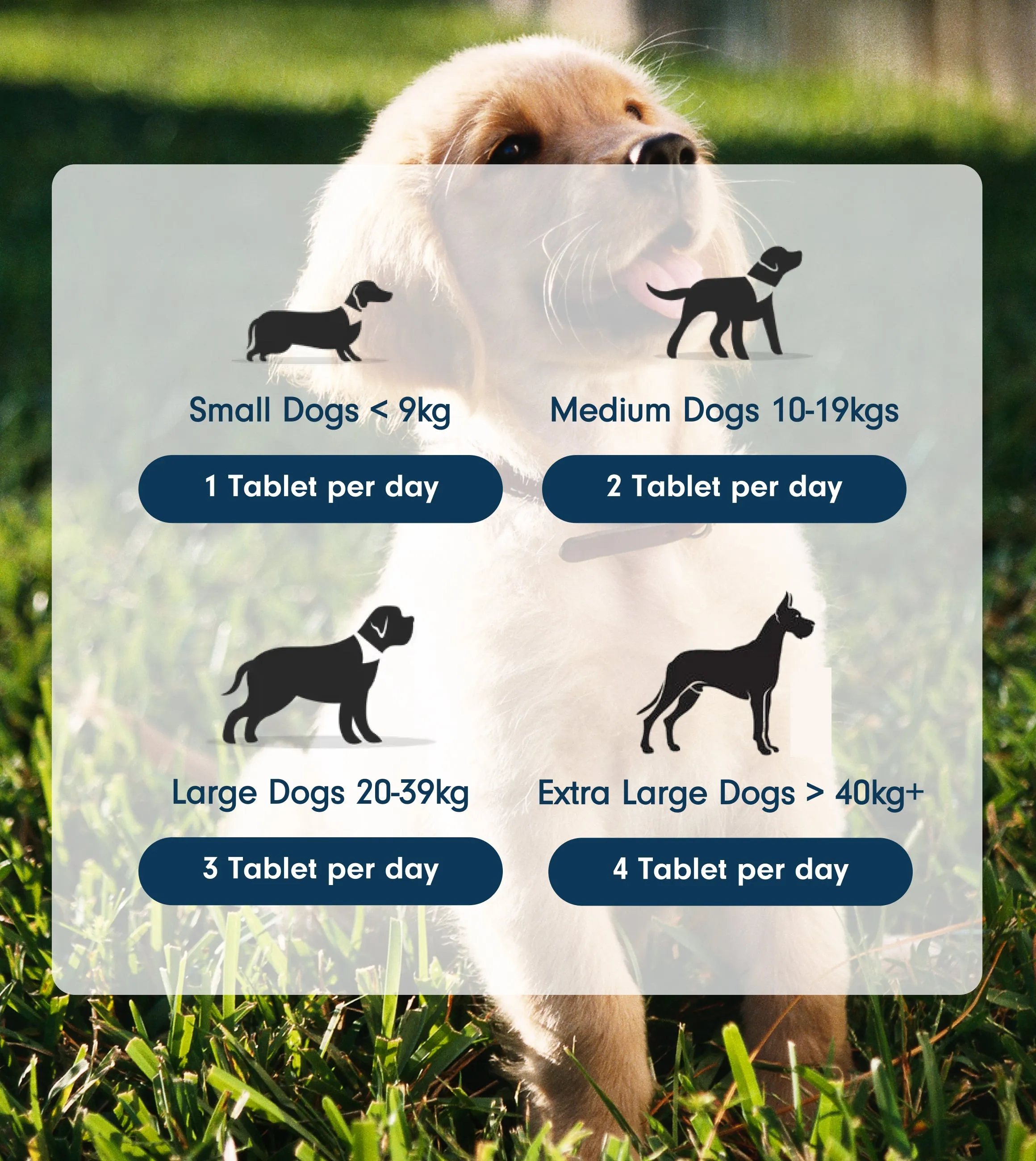 Natural Dog Joint Supplement with Boswellia & Turmeric