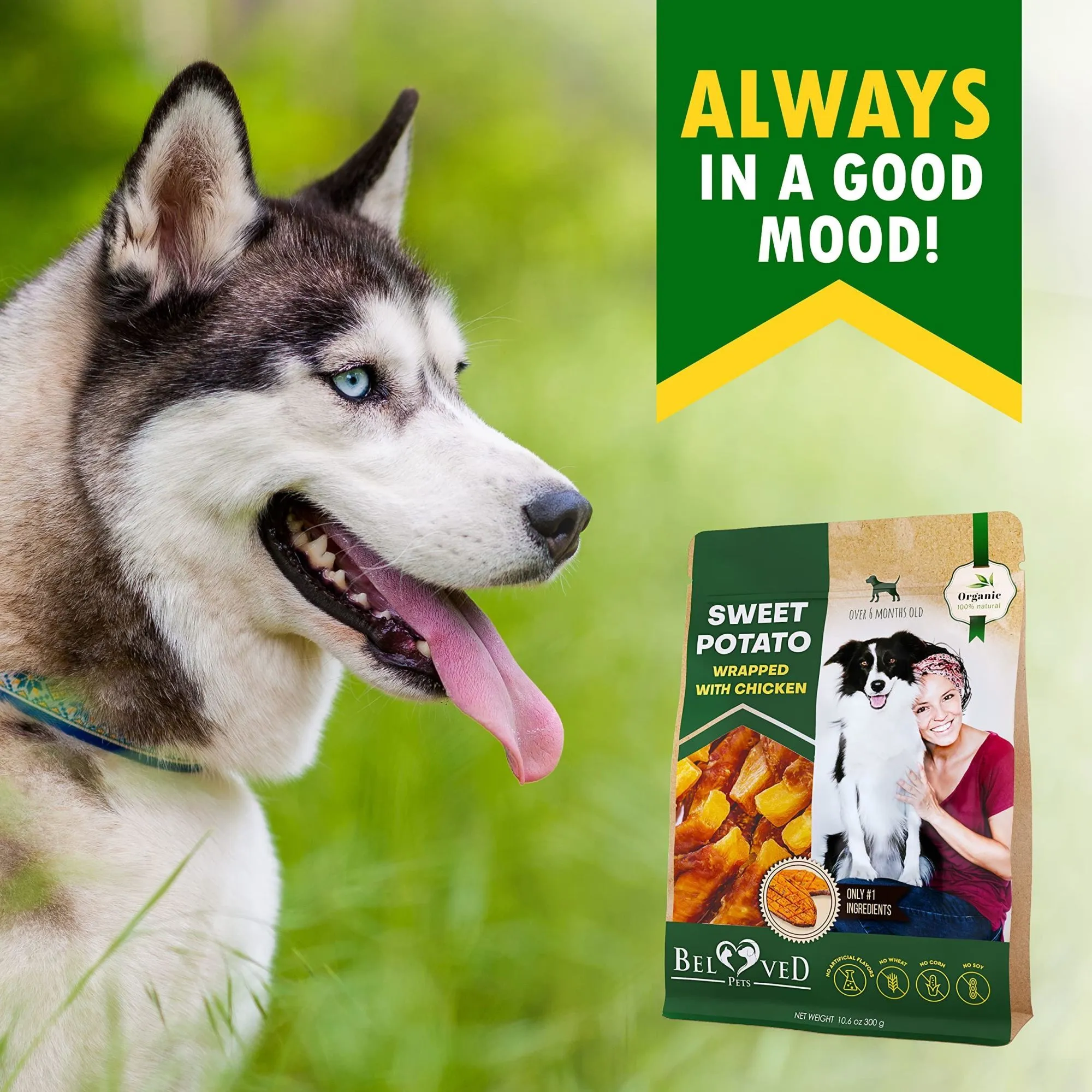 Natural Organic Sweet Potato Wrapped with Chicken Treats for Dogs