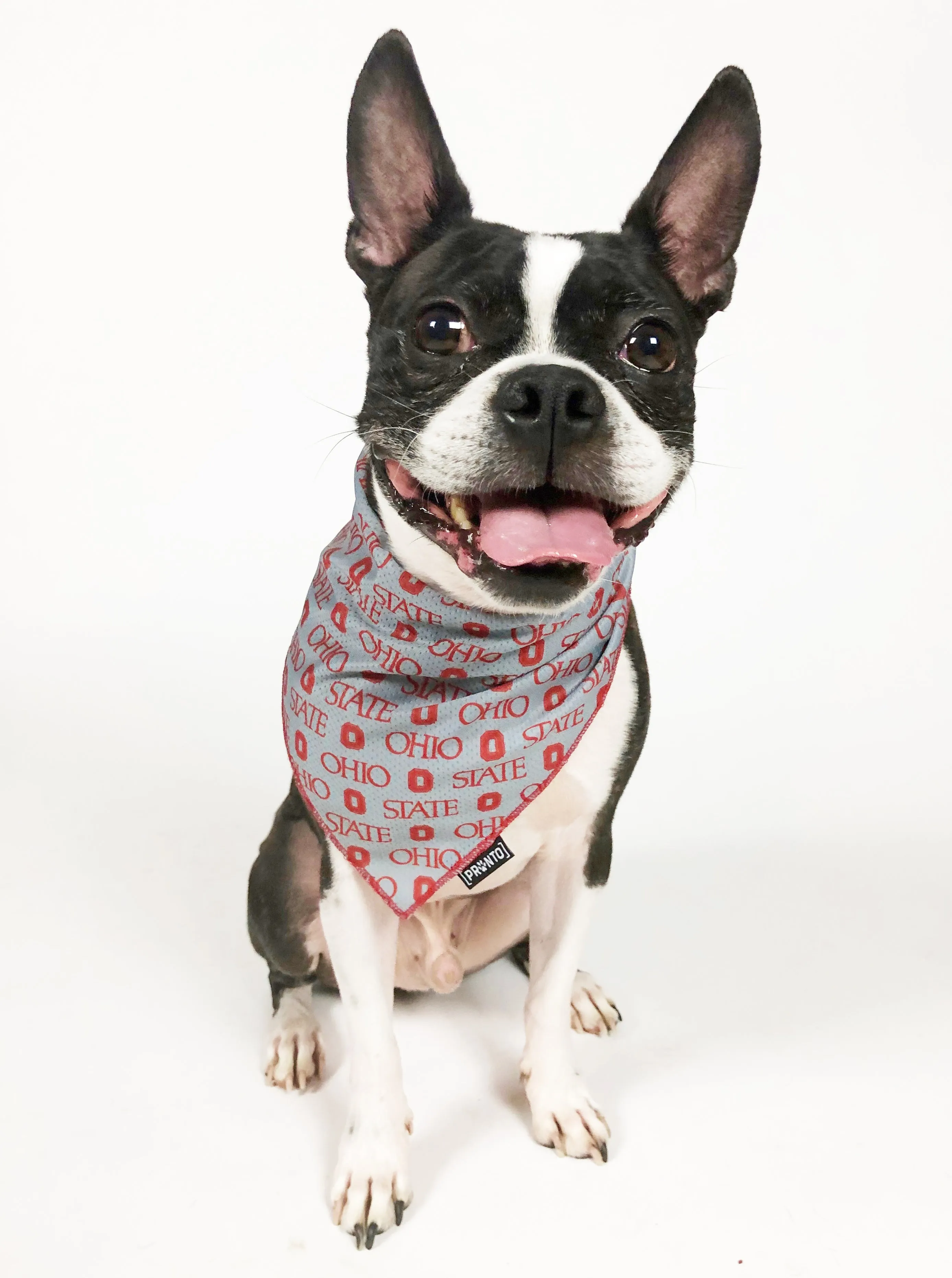 NCAA OHIO STATE | OSU Scarlet & Gray Cooling Bandana