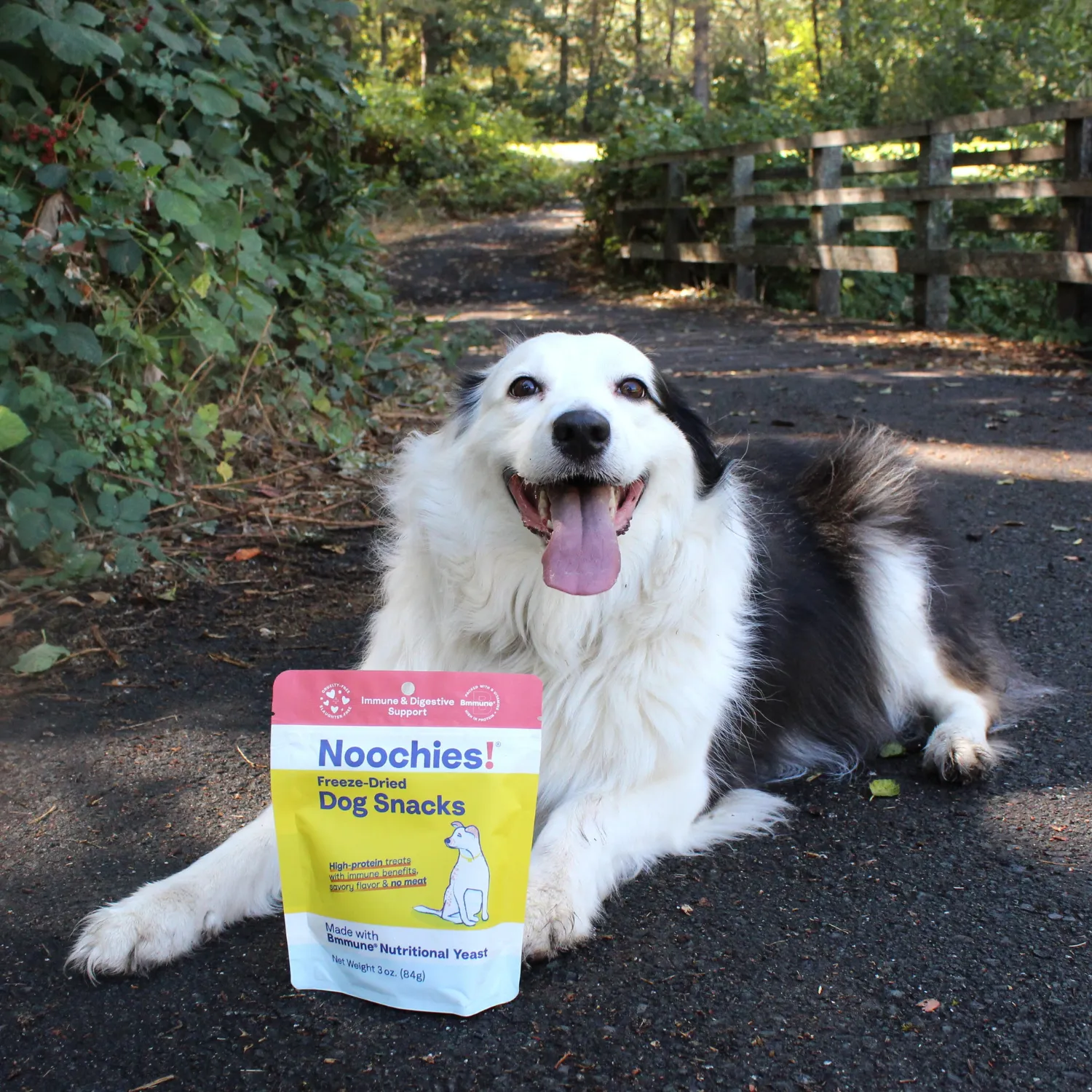 Noochies! High-Protein Freeze-Dried Dog Snacks with Bmmune - Grain-Free, Healthy, Hypoallergenic Dog Treats - Natural Snacks for Dogs