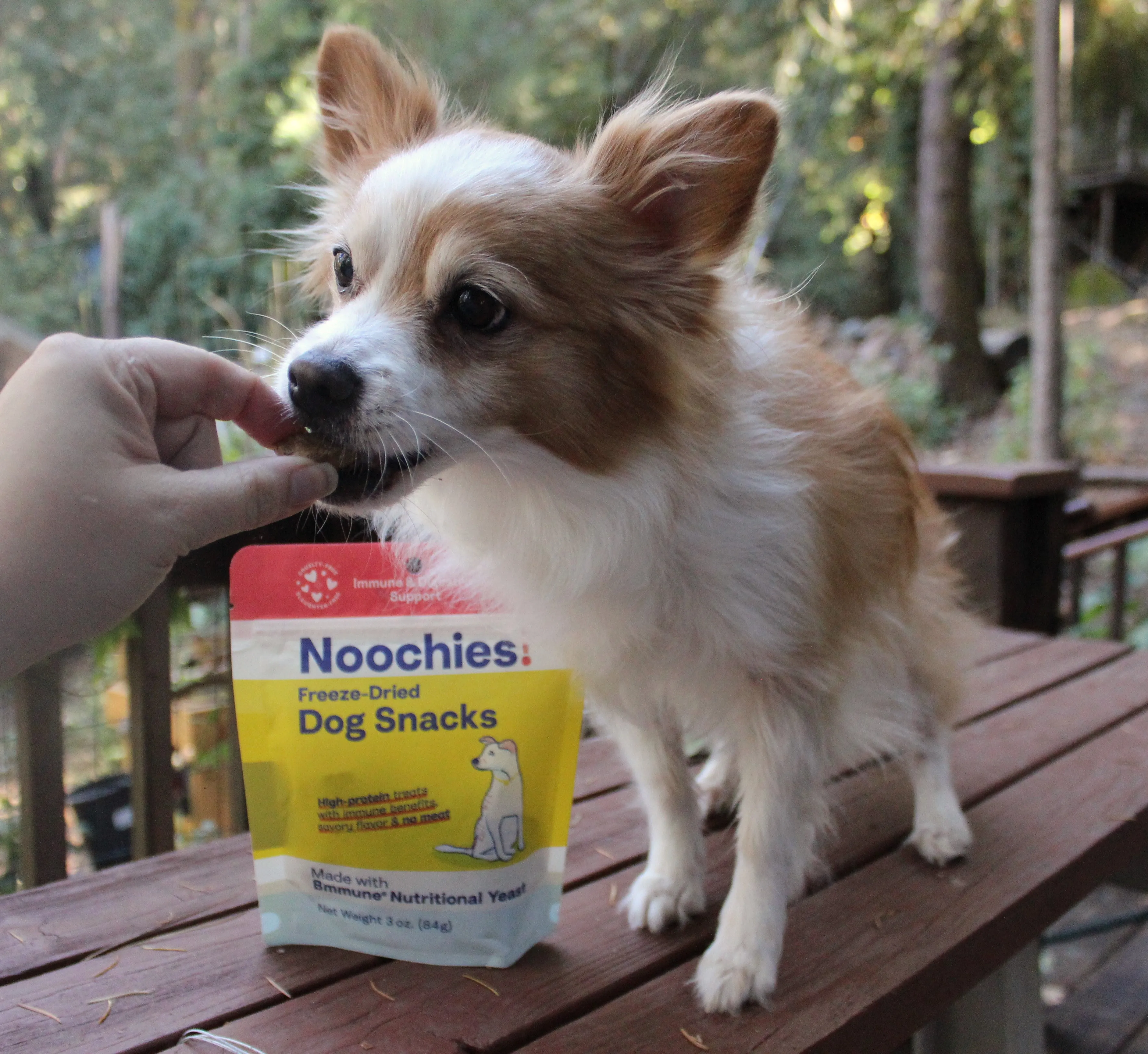 Noochies! High-Protein Freeze-Dried Dog Snacks with Bmmune - Grain-Free, Healthy, Hypoallergenic Dog Treats - Natural Snacks for Dogs