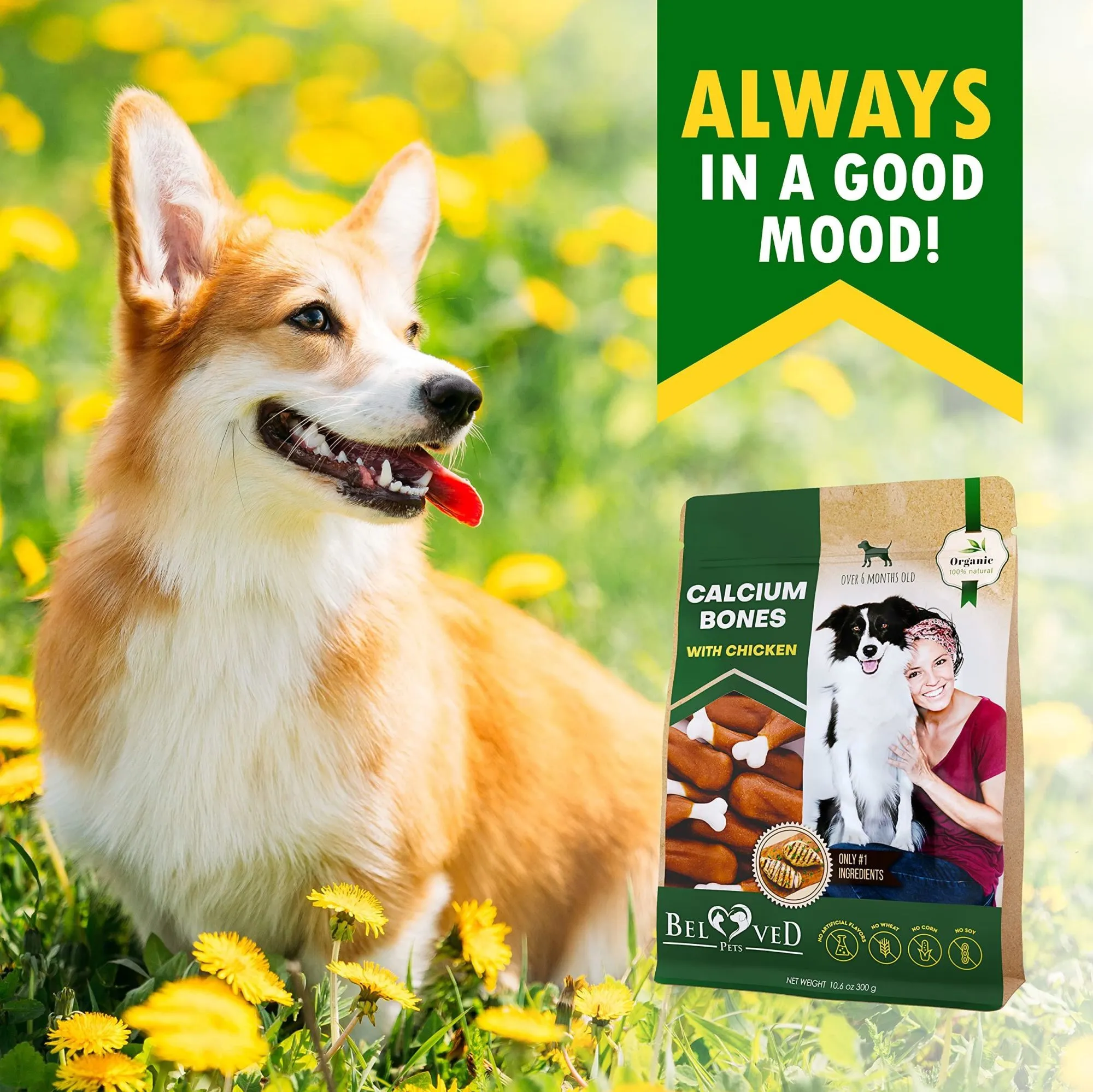 Organic Rawhide-Free Calcium Bones Wrapped with Chicken Treats for Dogs
