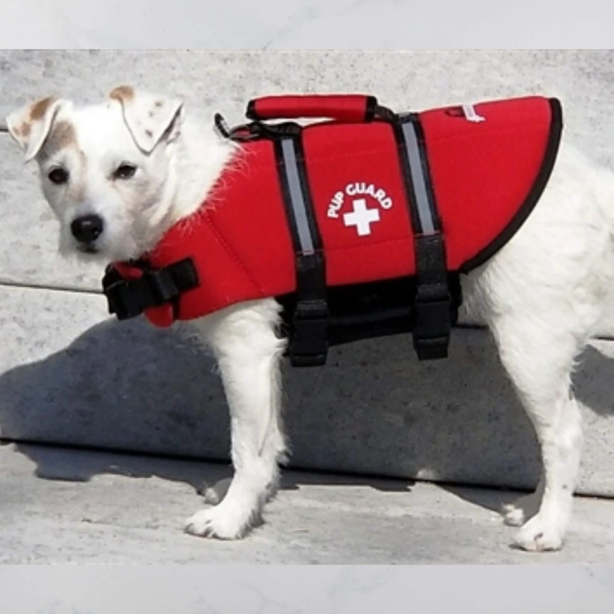 Paws Aboard Dog Life Jacket - Red
