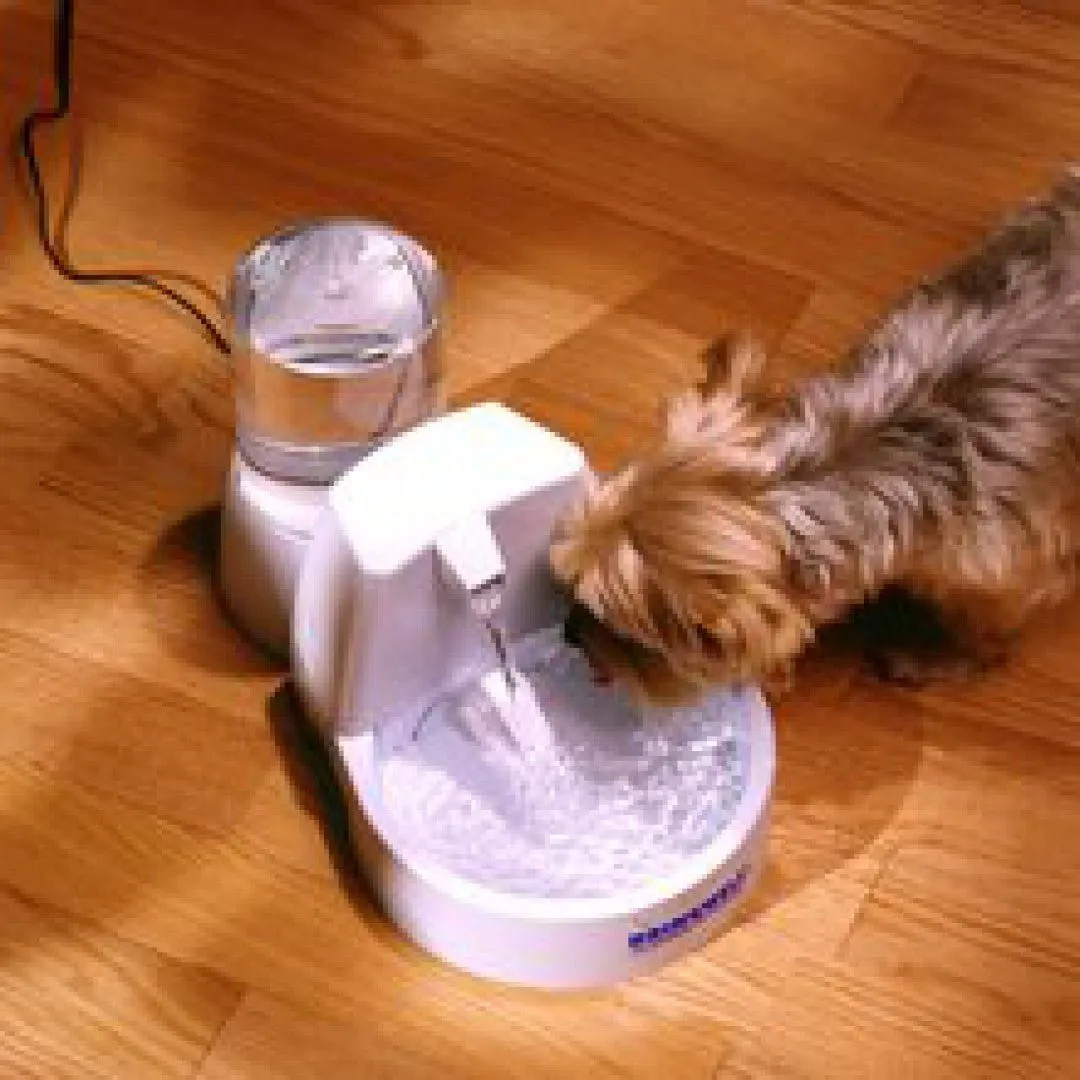 PetSafe - Drinkwell Original Pet Fountain