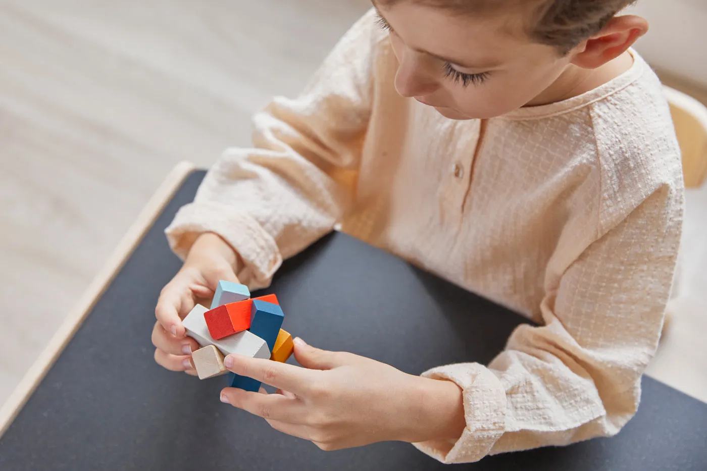 PlanToys Rectangular Puzzle