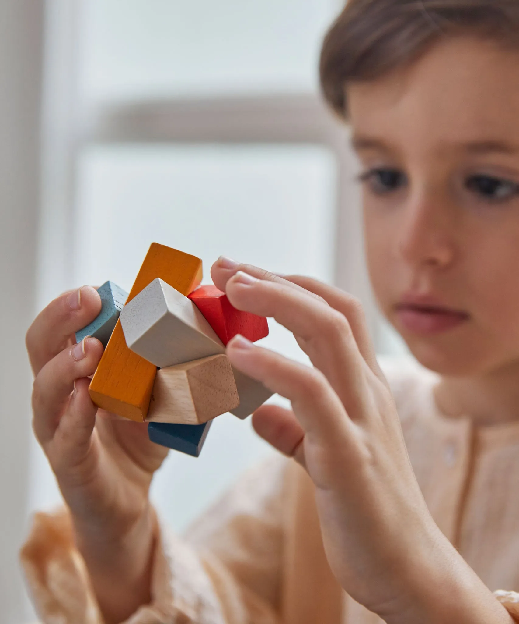 PlanToys Rectangular Puzzle