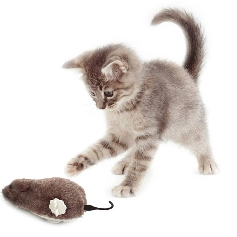 Plush Real Cat Toy
