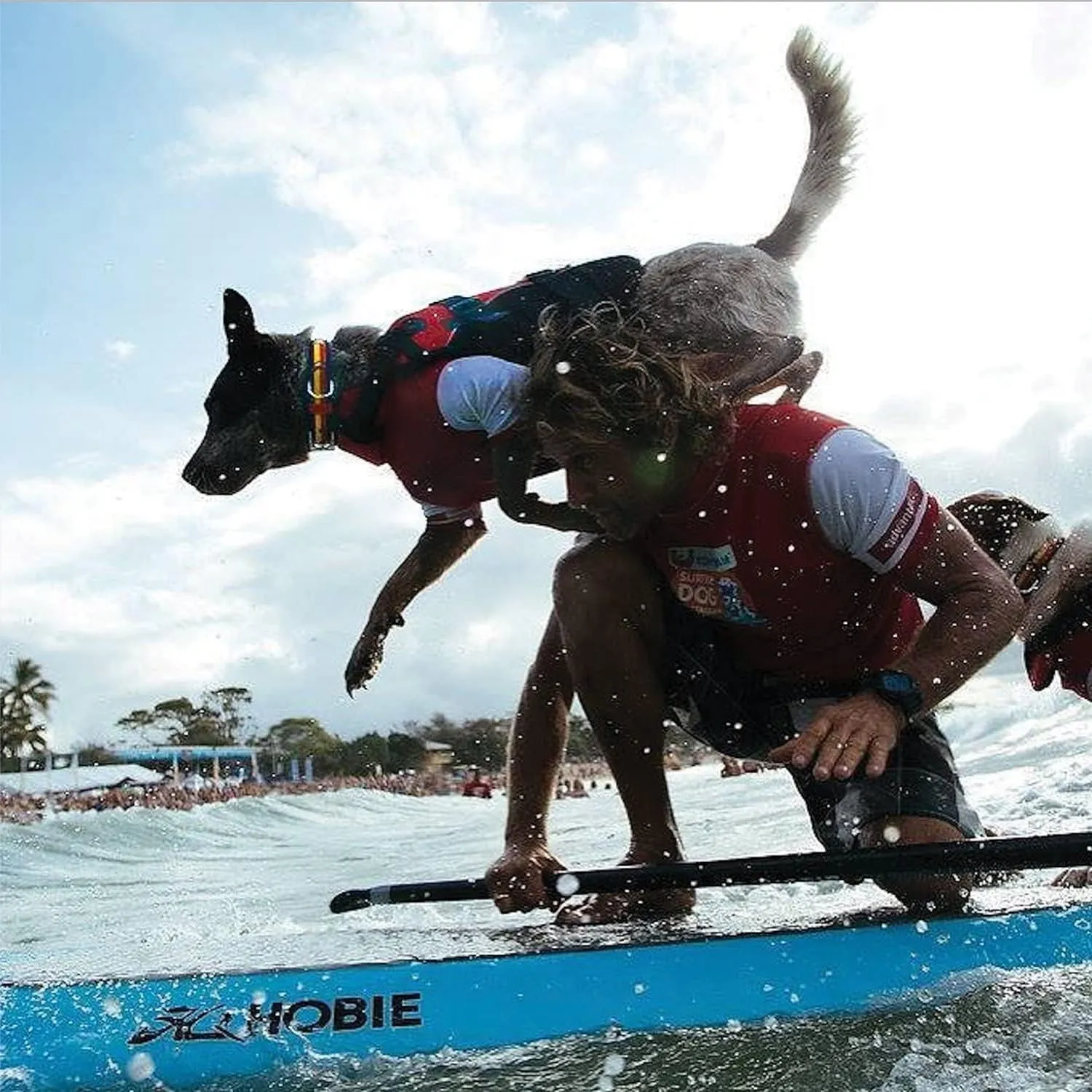 Premium Doggy Flotation Device (DFD)