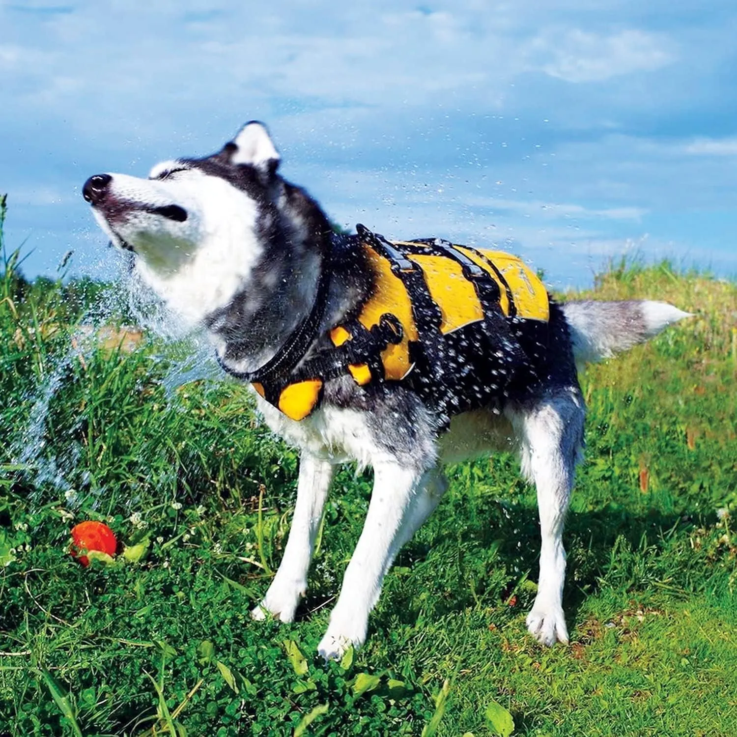 Premium Doggy Flotation Device (DFD)