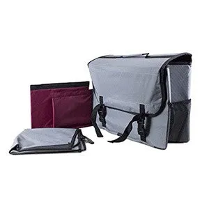 Reese Carry Power Pet Parent Traveler with Detachable Seat Cover