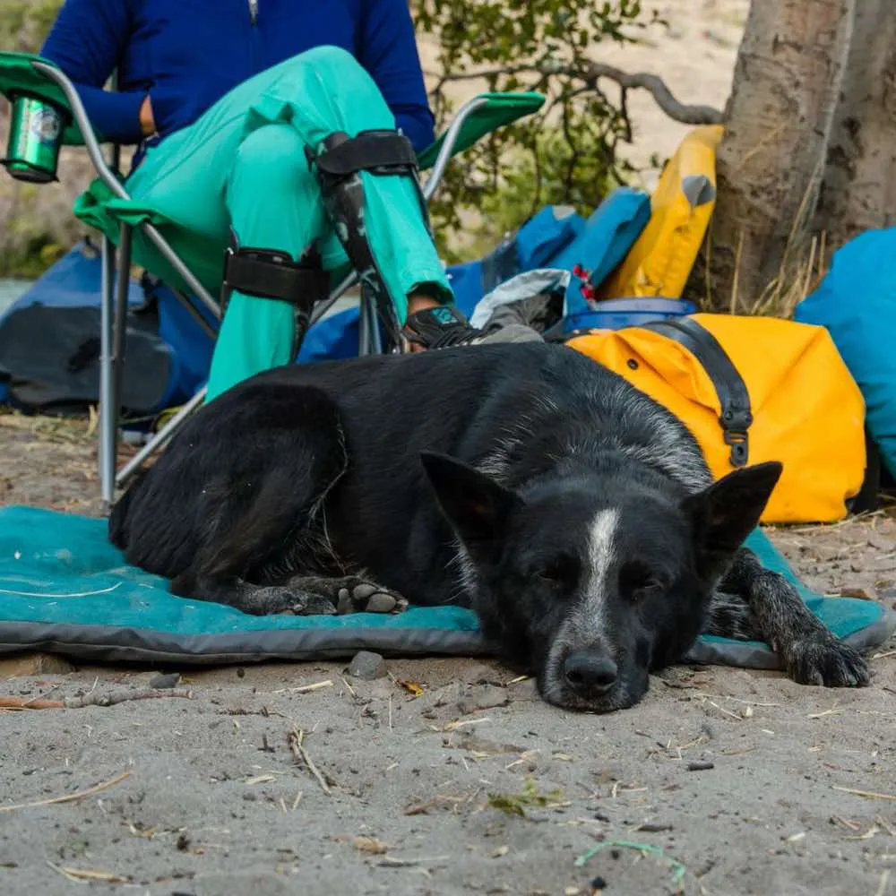 Ruffwear Mt. Bachelor Pad Portable Dog Bed