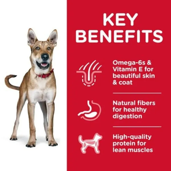 Science Diet Adult Chicken & Barley Recipe Dry Dog Food