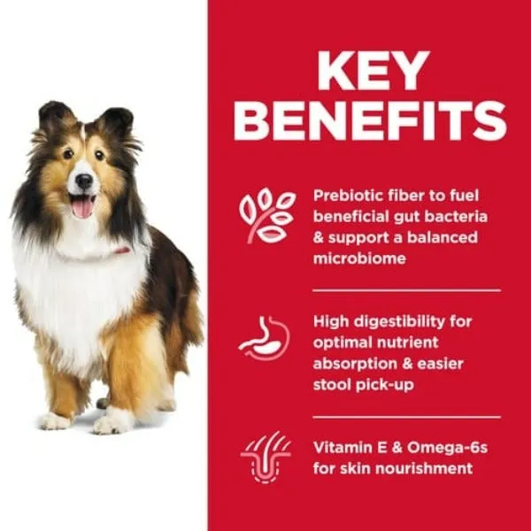 Science Diet Adult Sensitive Stomach & Skin Dry Dog Food