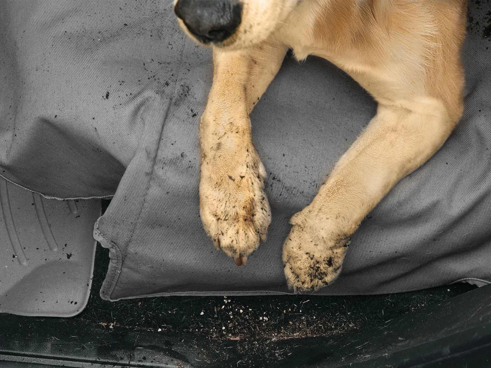 Seat Protector